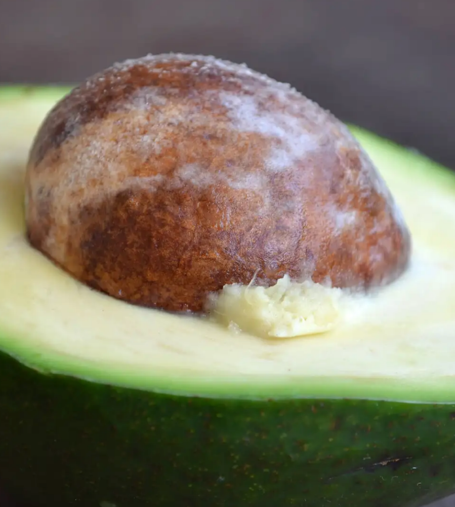 Avocado oil