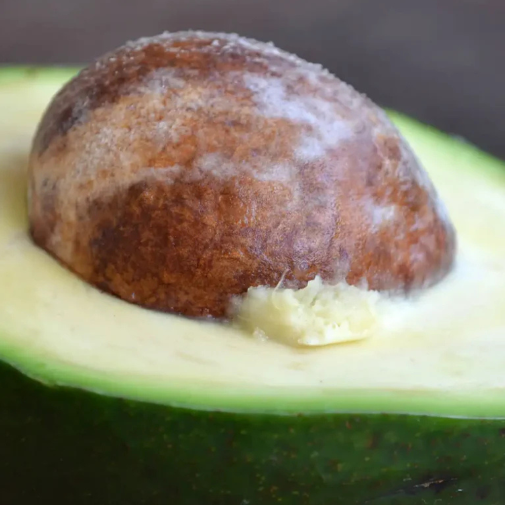 Avocado oil