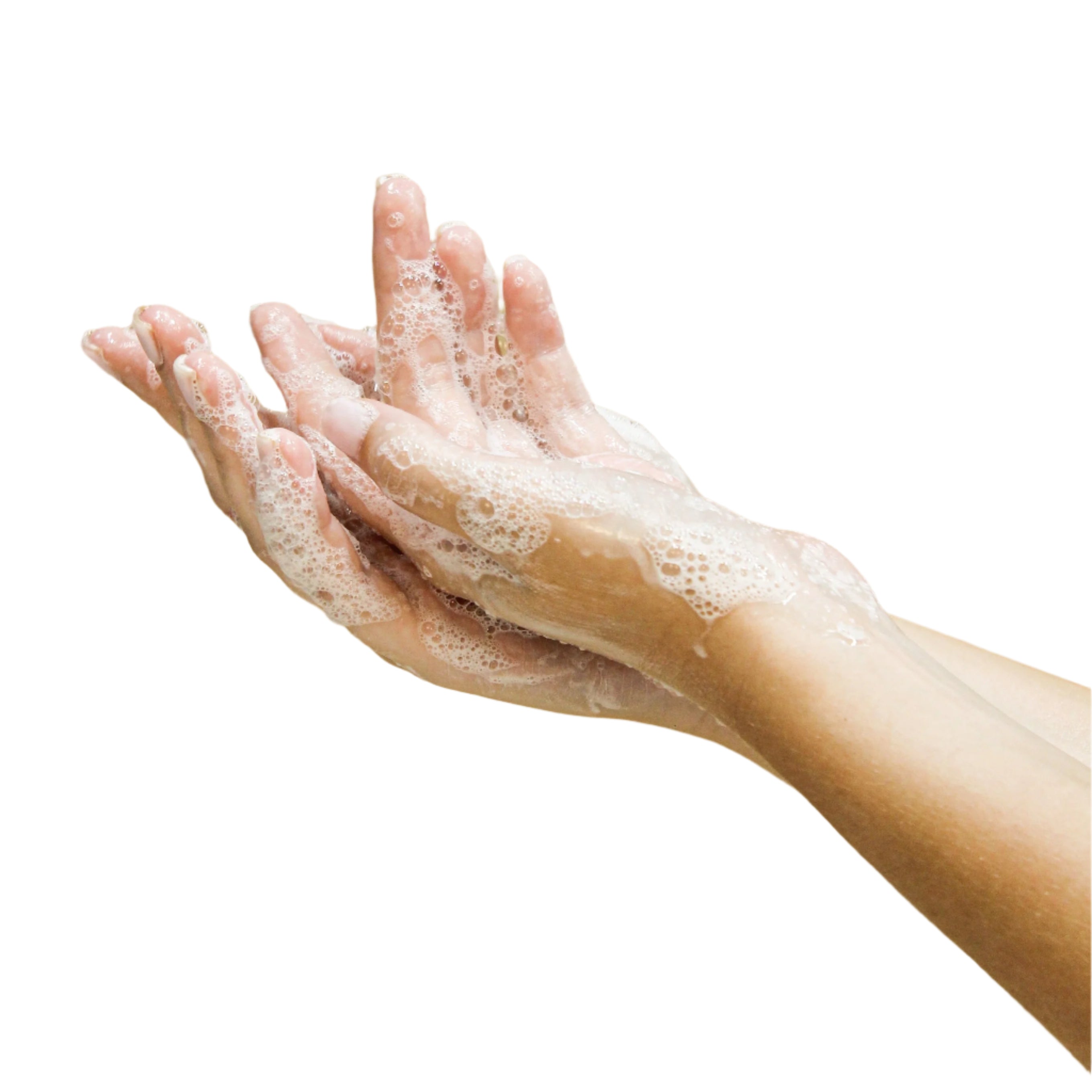 Hand & Body Wash - Sparkling Citrus & Mint