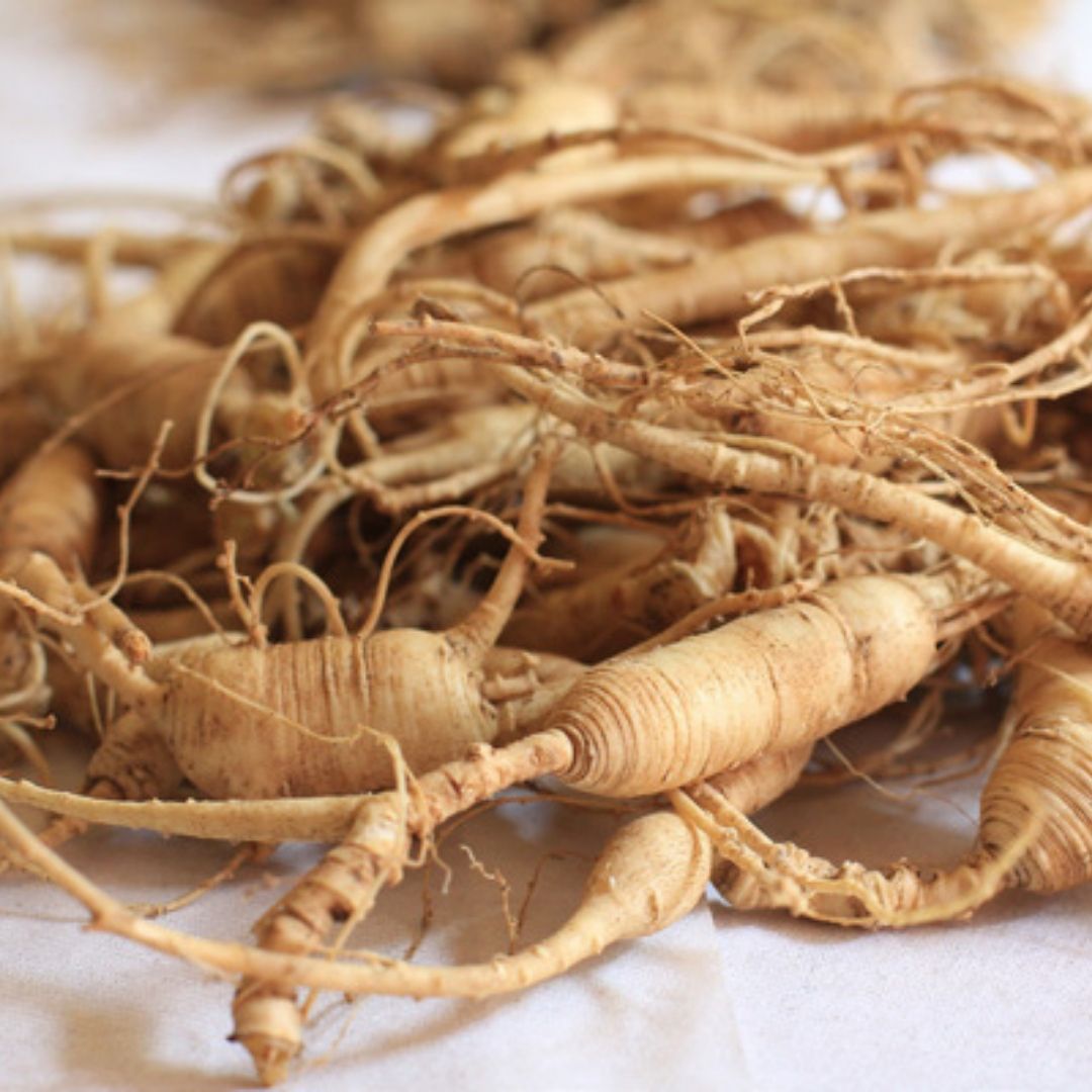 Ginseng