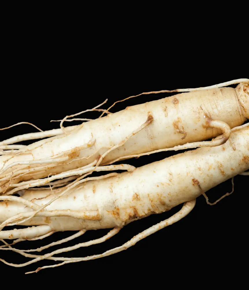 Ginseng